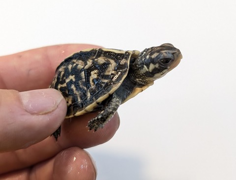 PXL_20251210_070106365~2