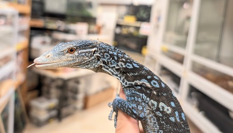 PXL_20251003_113905964~2