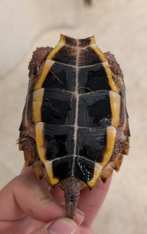 PXL_20250106_110036915~2