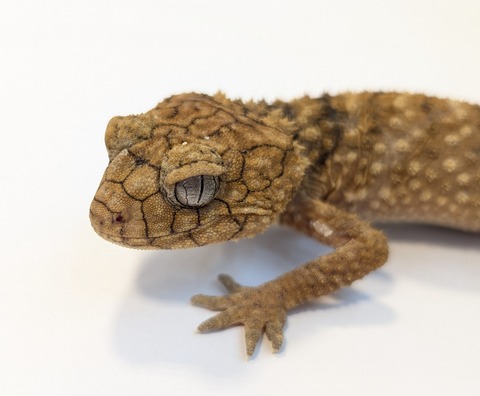 PXL_20250623_101129093~2