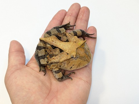 PXL_20250424_085805662~2