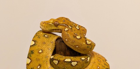 PXL_20251113_100027738~2