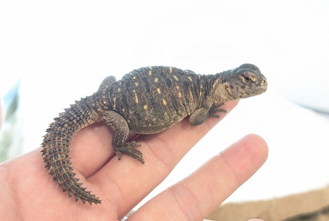 PXL_20260124_095344258~2