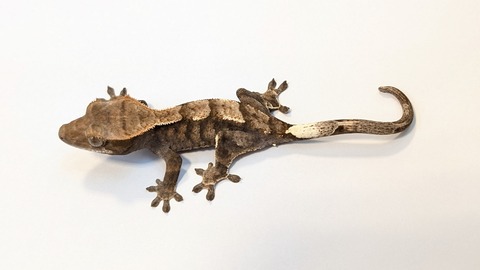 PXL_20250815_083622606~2