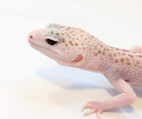 PXL_20250504_105657890~2