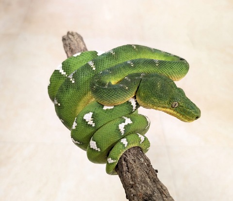 PXL_20250620_130117634~2