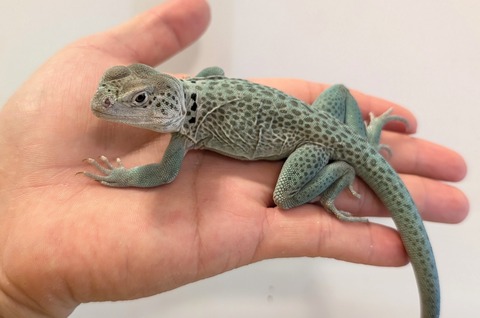 PXL_20260103_094219324~2