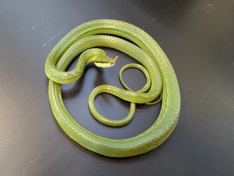 PXL_20241228_094812346~2