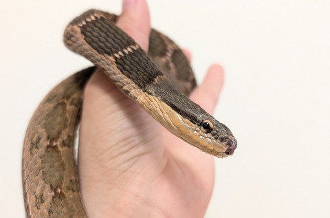 PXL_20250910_071725389~2