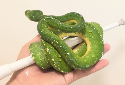 PXL_20251120_070652013~2