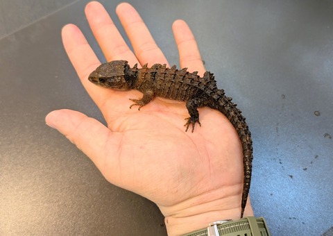 PXL_20250130_090443888~2