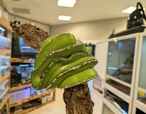 PXL_20241224_111201291~2