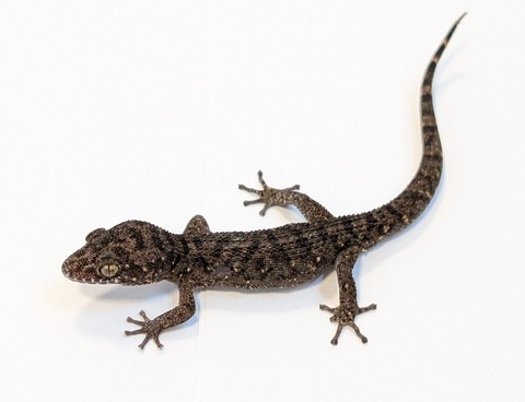 PXL_20250401_100257082~2