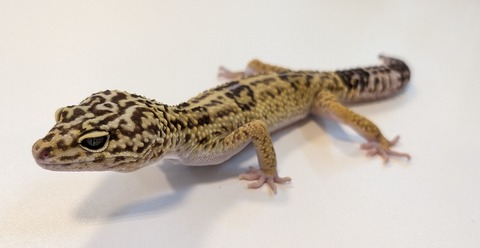 PXL_20251218_100610454~2