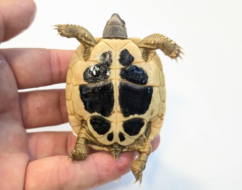 PXL_20251105_060603681~2