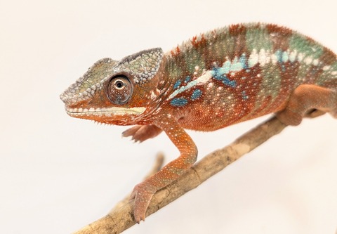 PXL_20250725_101511532~2