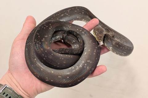 PXL_20260125_094900074~3