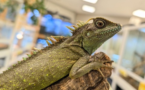 PXL_20251104_102412737~2