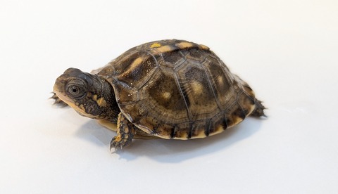 PXL_20251103_100557185~2