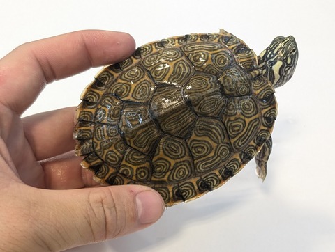 PXL_20250919_114203163~2