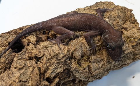 PXL_20250623_101621882~2