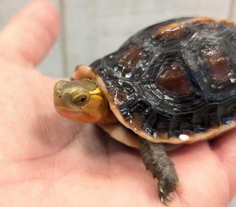 PXL_20250502_105806163~2