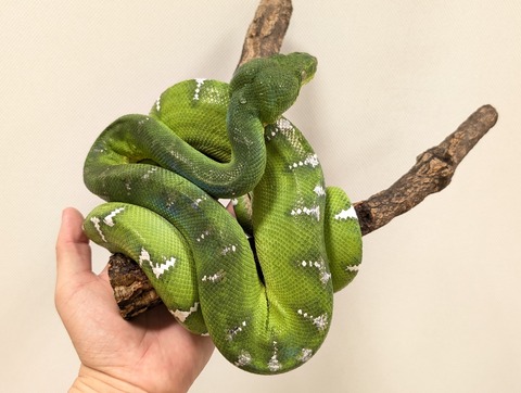 PXL_20250920_112039180~2