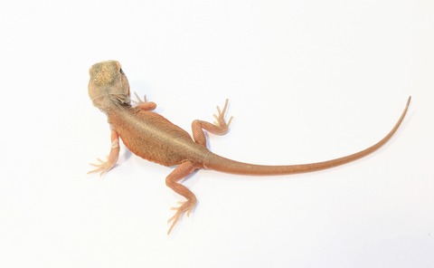 PXL_20250716_082620370~2