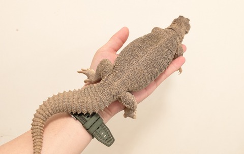 PXL_20250920_095712700~2