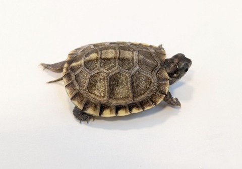 PXL_20251103_101119291~2