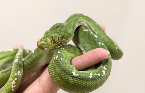 PXL_20250920_111017004~2