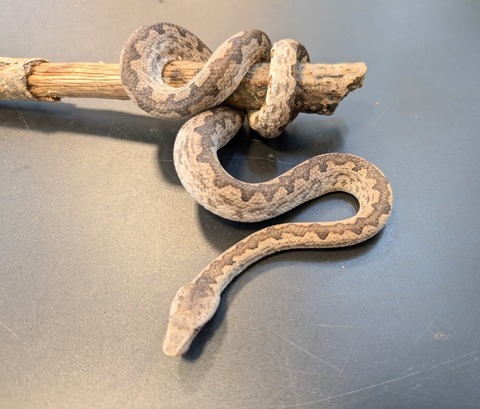 PXL_20250106_100423924~2