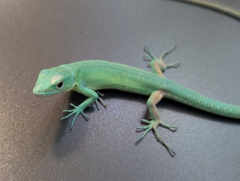 PXL_20250130_090332646~2