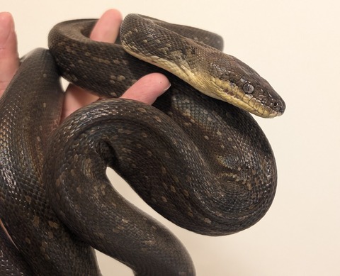 PXL_20260212_080142012~2