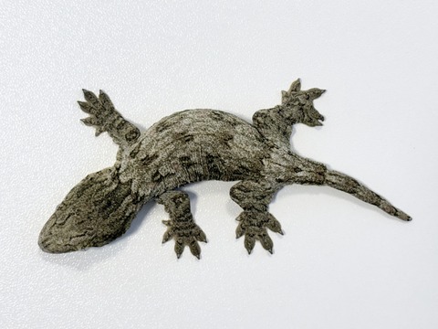 FullSizeRender