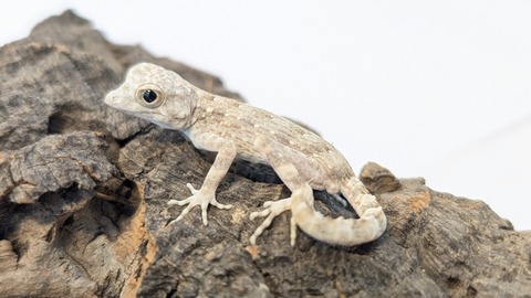 PXL_20250725_101859143~2