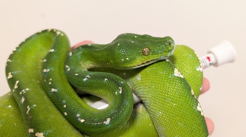 PXL_20260101_110742474~2