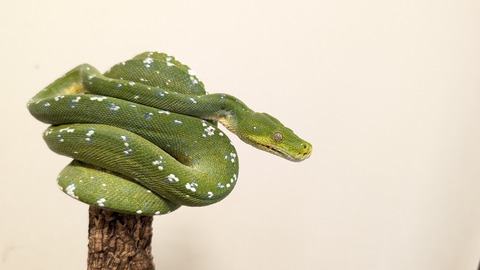 PXL_20251022_050523643