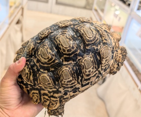 PXL_20260102_080930535~2