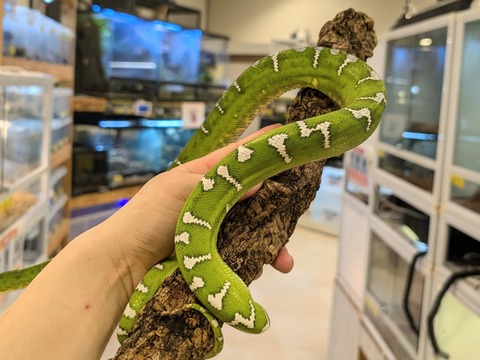 PXL_20241224_110030385~2