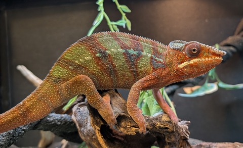 PXL_20260101_072939733~2