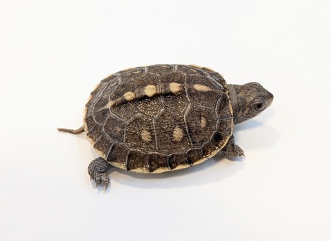 PXL_20251103_100419128~2