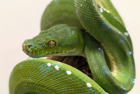 PXL_20251113_095431008~2