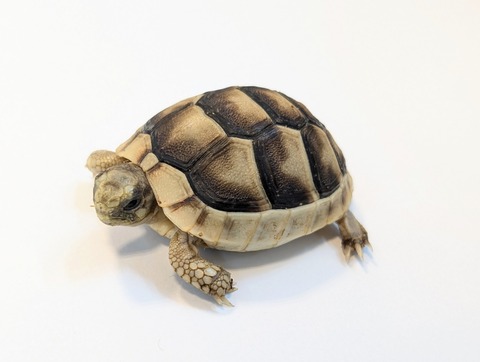 PXL_20250318_091619549~2