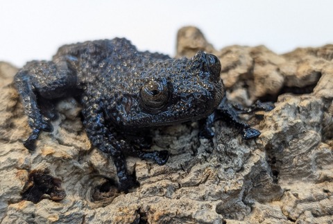 PXL_20250622_112845043~2