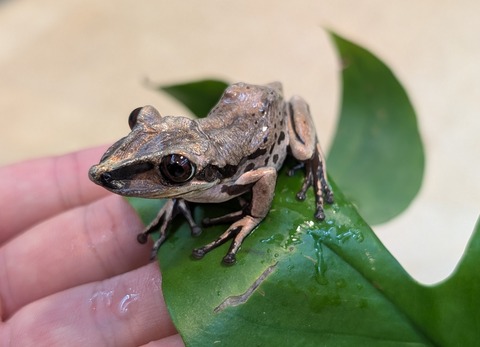 PXL_20251122_061305422~2