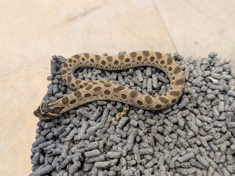 PXL_20241228_112839955~2