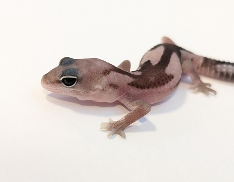 PXL_20250622_113851464~2