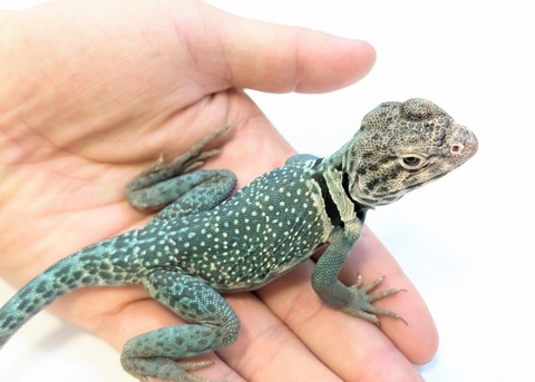 PXL_20250508_095850743~2