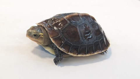 PXL_20250919_114108674~2